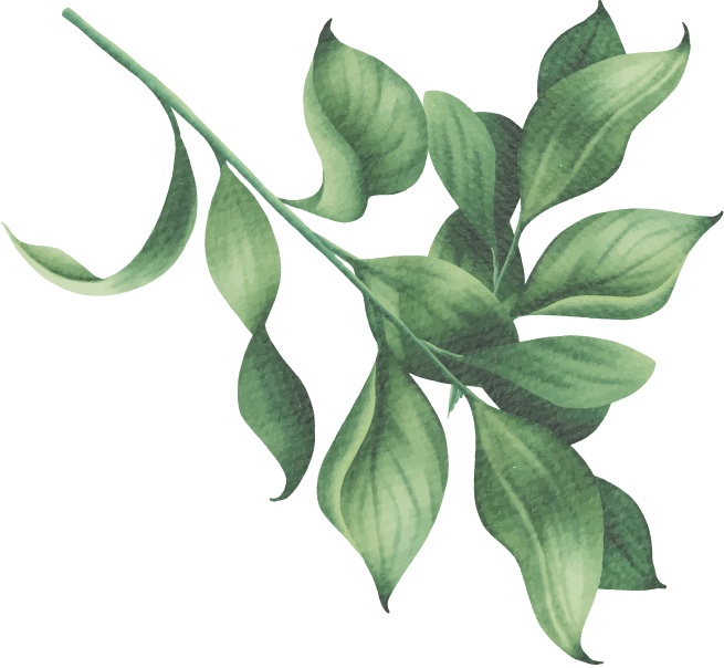 green leaf