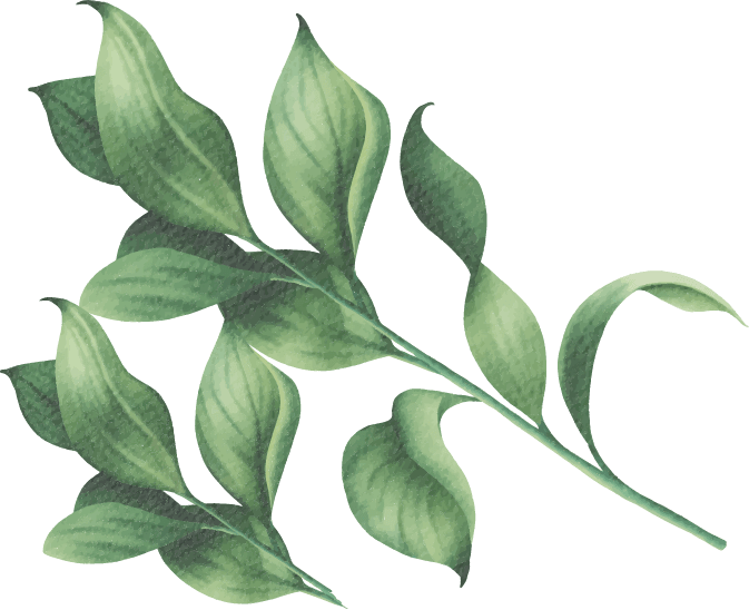 green leaf